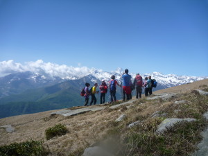 flw-vandalino-1_26449862693_o