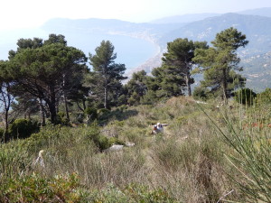 1-alta-via-della-baia-del-sole-foto-lorena-09-04-2017_resize