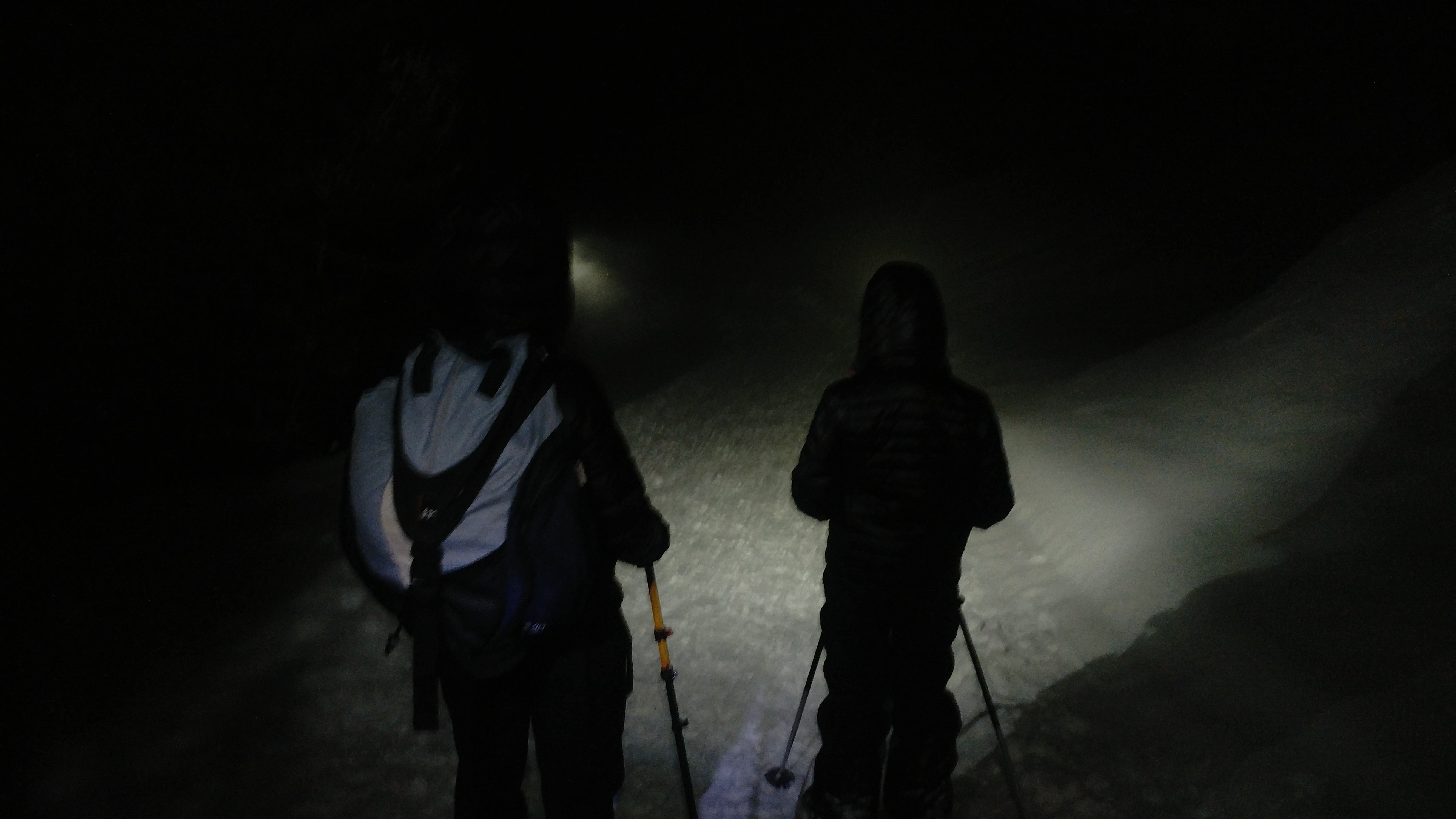 Ciaspolata in notturna con cena al rufugio Selleries