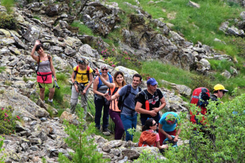 51510650648_bcfc3b5614_h