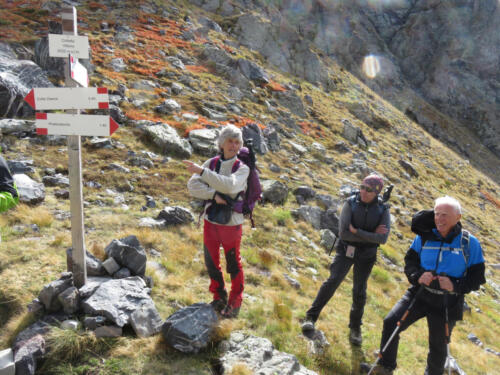 51532859460_ab9947fc18_k