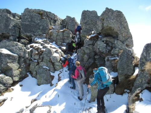 WhatsApp Image 2022-04-26 at 09.07.10